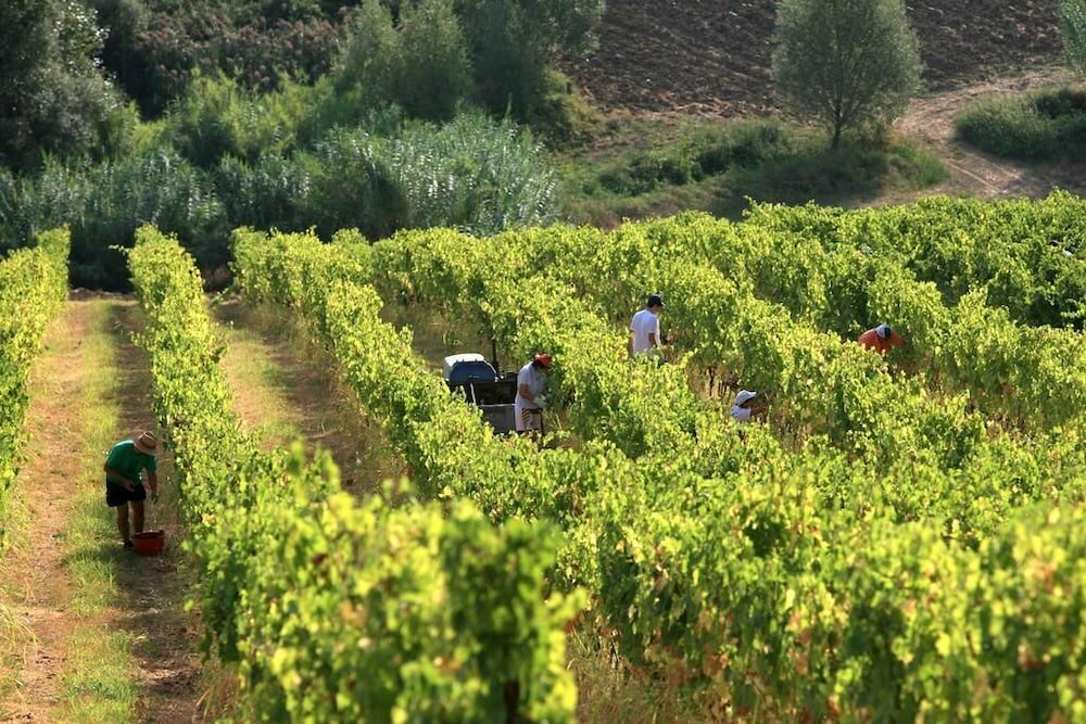 Фото Villa Venti