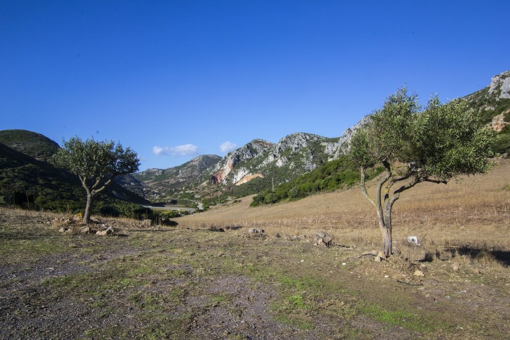 Фото Agriturismo Sa Rocca