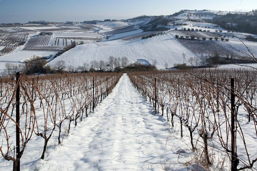 Фото Villa Venti