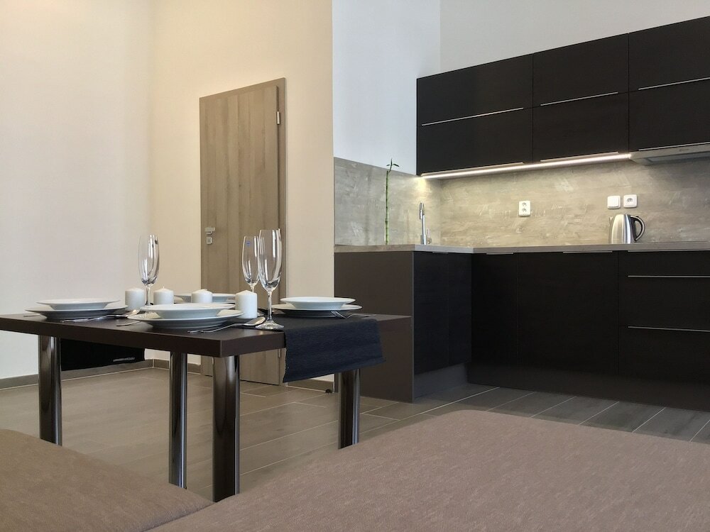 Фото Euro Apartments Lidická 39 Brno