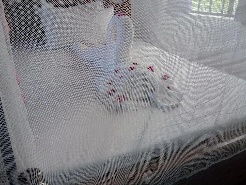 Фото Ancestors Lodge