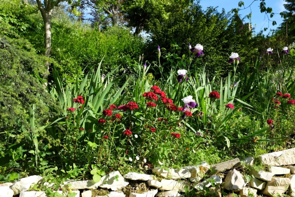 Фото B&b Ca' Dell'Olmo