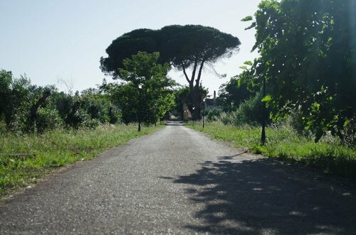 Гостиница Agriturismo Capani