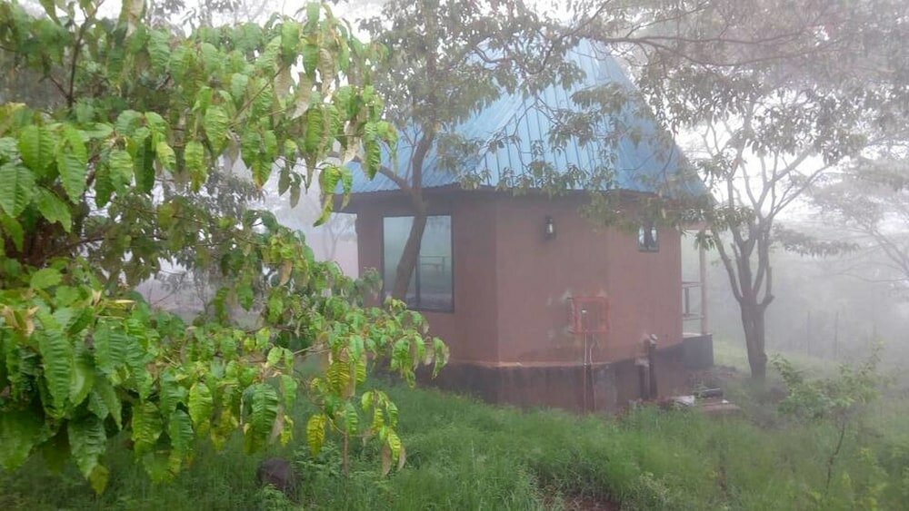 Фото Ancestors Lodge