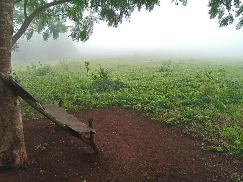 Фото St. Catherine Monastery