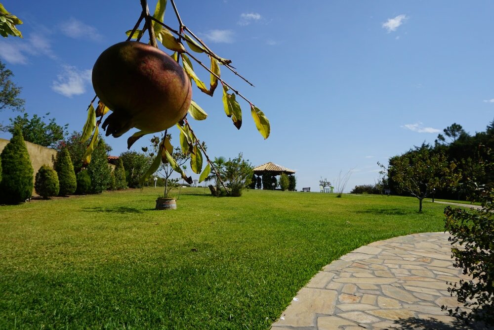 Фото Villa Orama