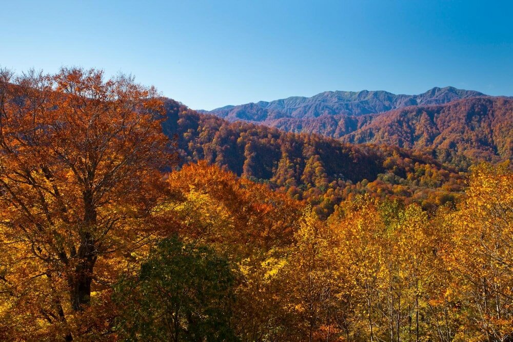 Фото Bunano Sato Shirakamikan