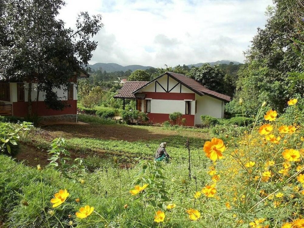 Фото Morning Glory Inn