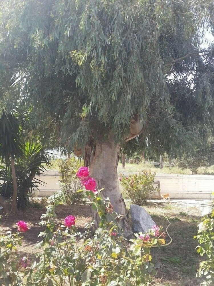 Фото Mariliza Beach Hotel