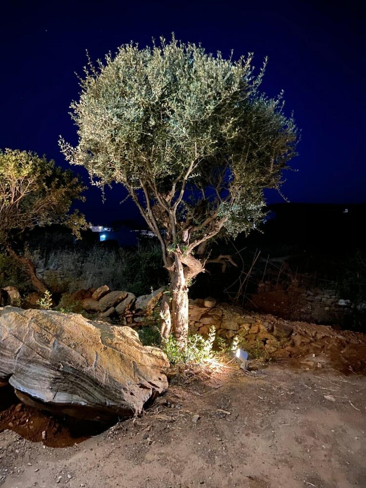 Фото Spanos Apartments