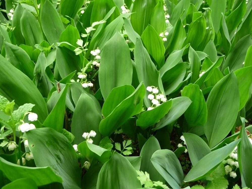 Фото Pension Anniversary