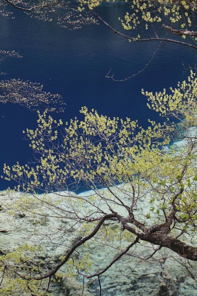 Фото Hilton Garden Inn Jiuzhaigou