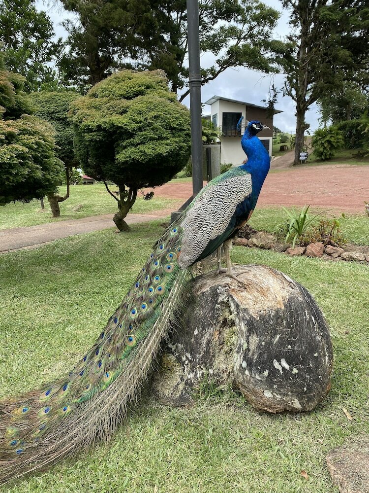 Фото Villa Calas