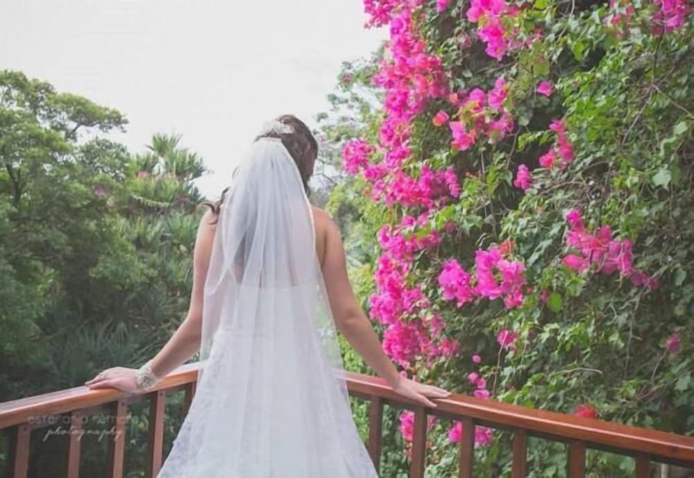 Фото The Loerie Hide