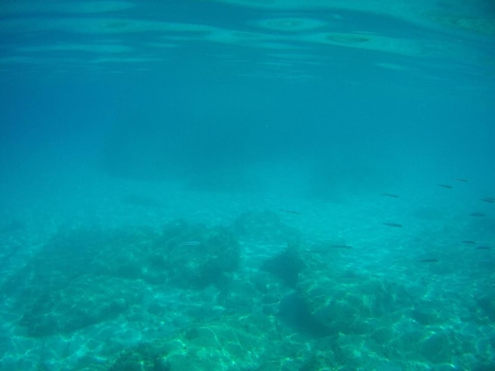 Фото La Valle Verde