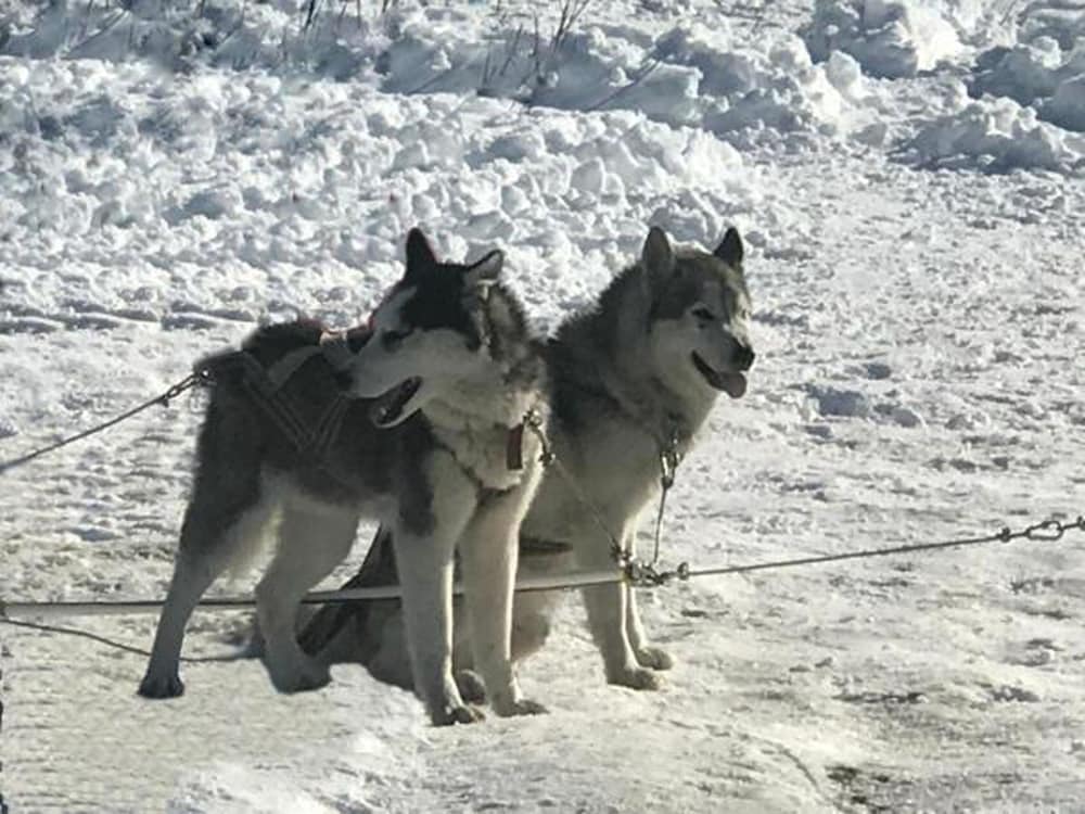 Фото Villa Mtashi