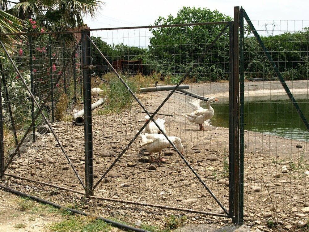 Фото Agriturismo Masseria Portiere Stella