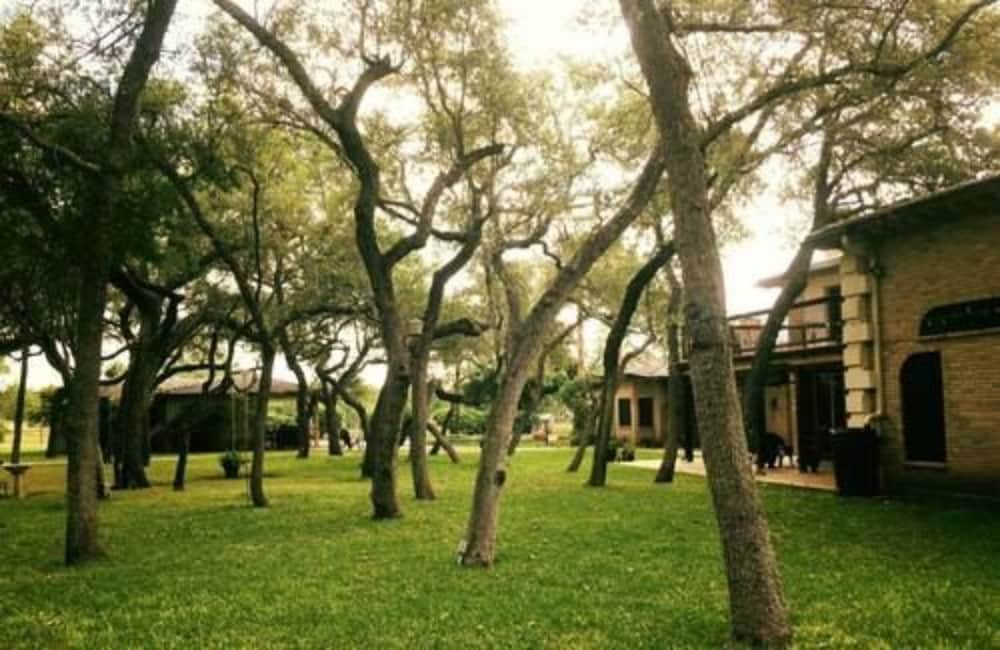 Фото Live Oaks Bed and Breakfast