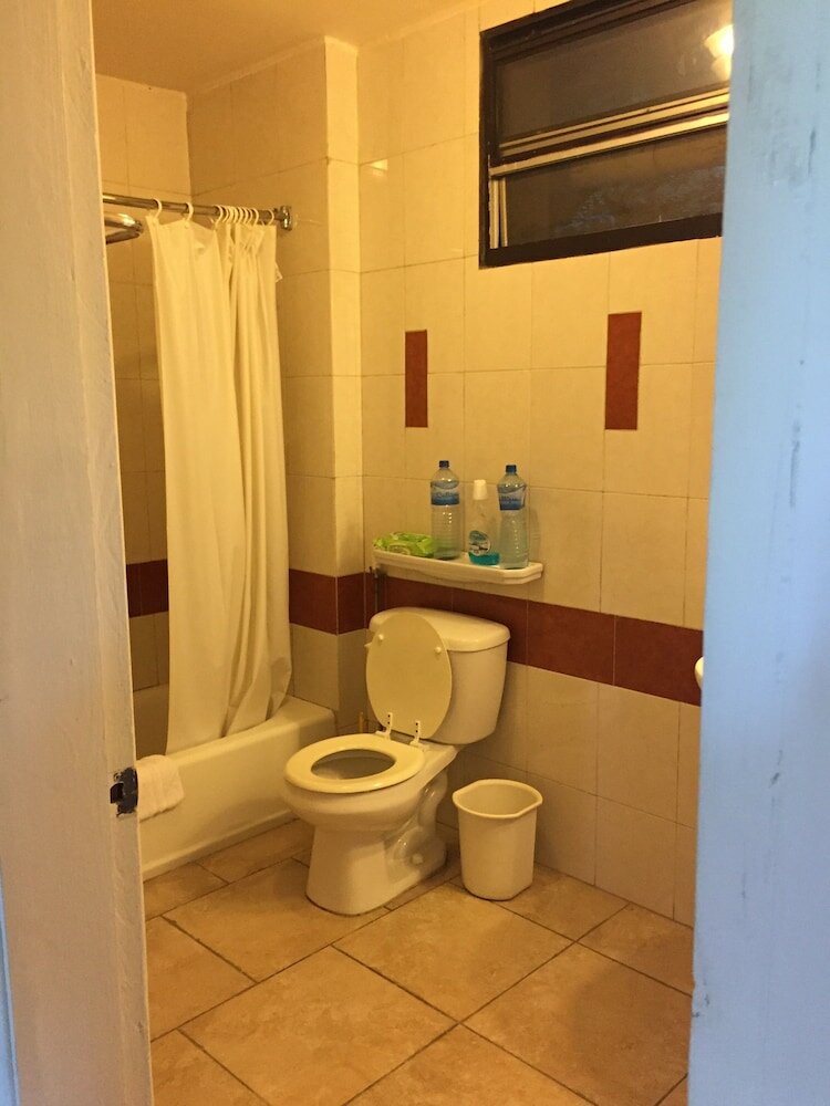 Фото Palm Residence