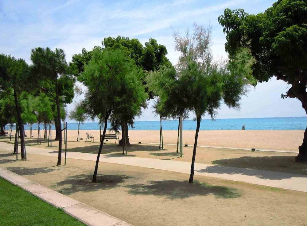 Фото Camping Bellsol