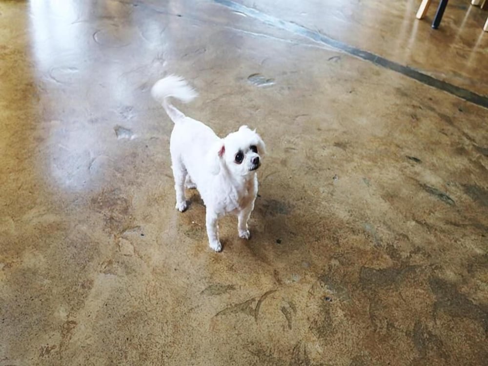 Фото James Blue Guesthouse