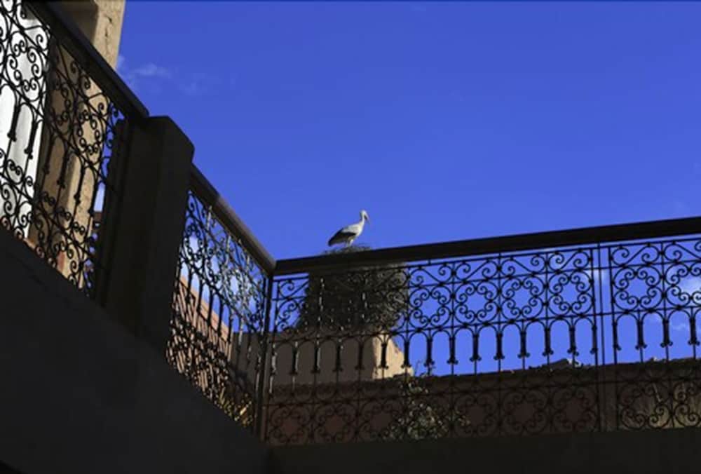 Фото Riad Aladdin