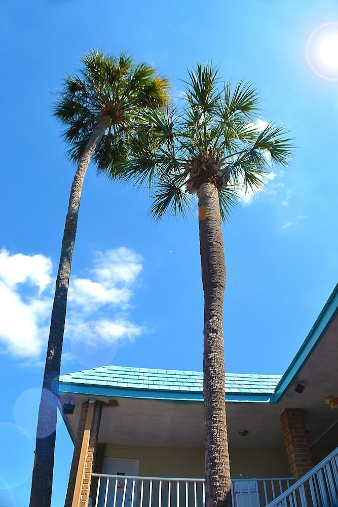 Фото Terrace Garden Inn