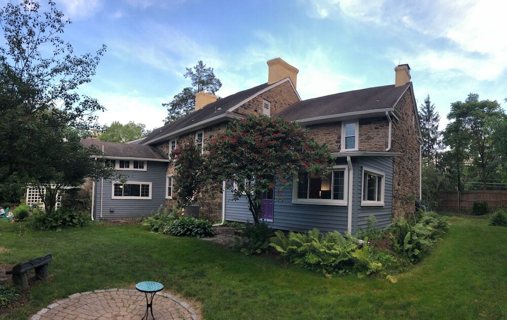 Фото Wild Wisteria