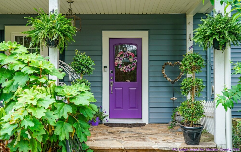 Фото Wild Wisteria