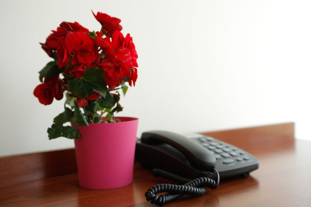 Фото Hotel Merlot