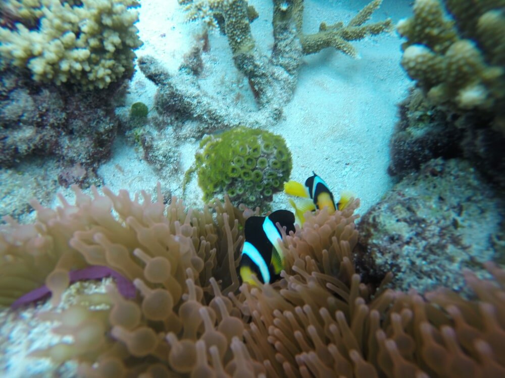 Фото Отель Salt Beach