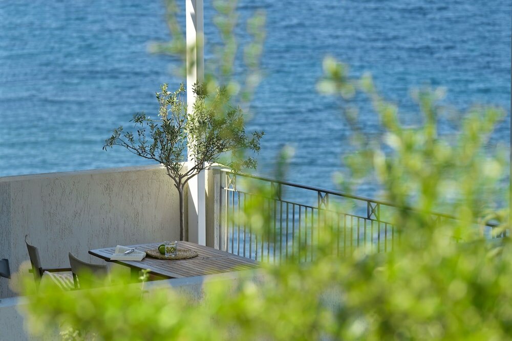 Фото Little Bird