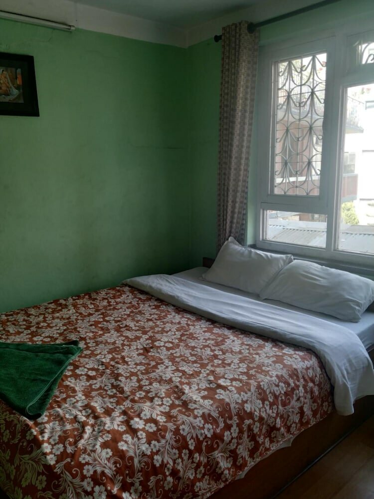 Фото Beehive Hostel