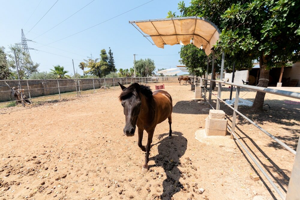 Фото B&B Tenuta Barone Gallipoli