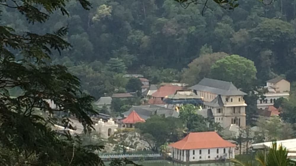 Фото Grand Orchid Residence