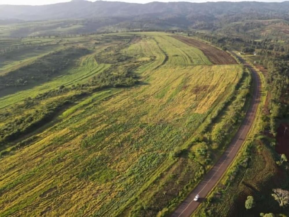 Фото St. Catherine Monastery