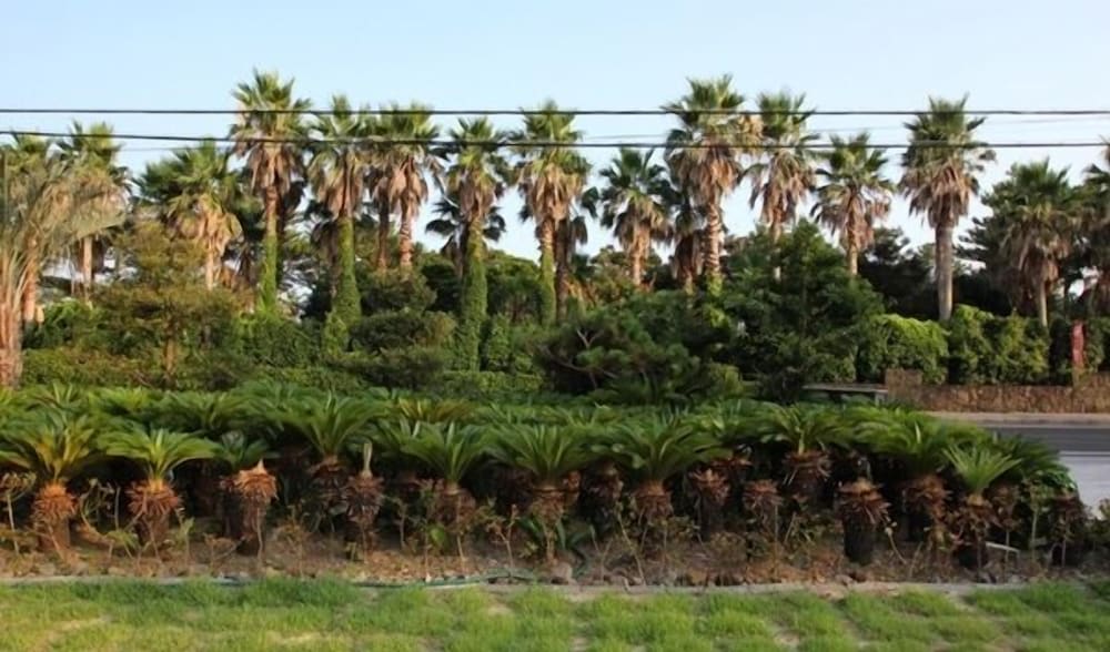 Фото Soranghozen Pension