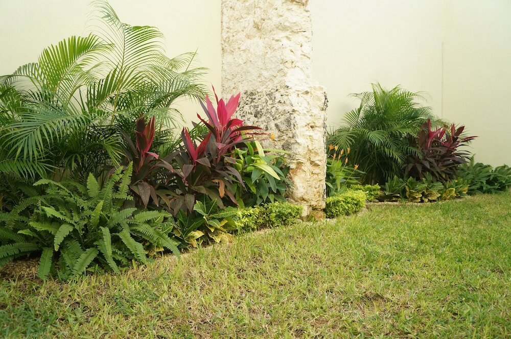 Фото Hotel Casa Palomino