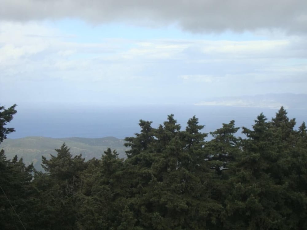 Фото Elafos Hotel