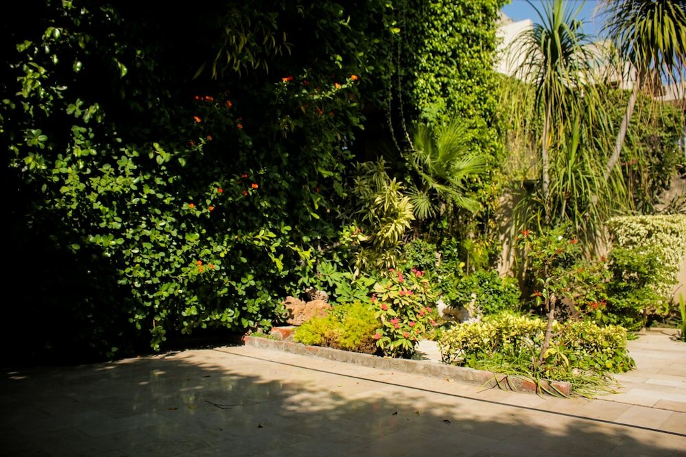 Фото Lahore Guest House