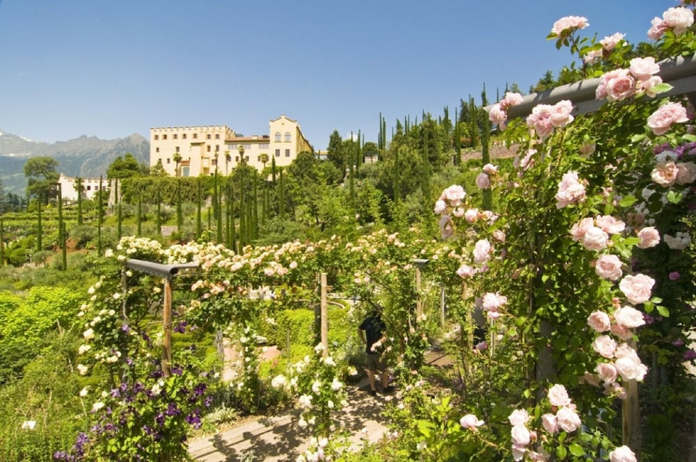 Фото Sonnenhotel Adler