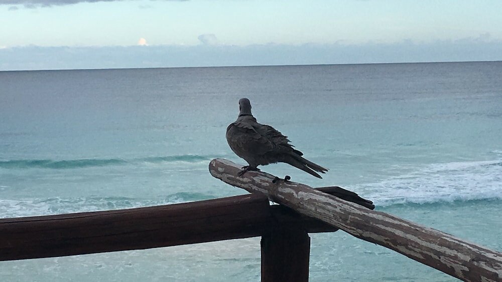 Фото Emporio Cancun