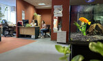 Forumedia.ru (Friedricha Engelsa Street, 70), it company