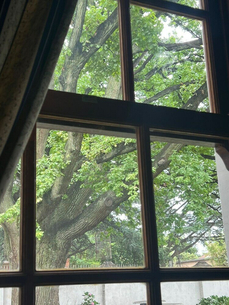 Фото Oak View Manor