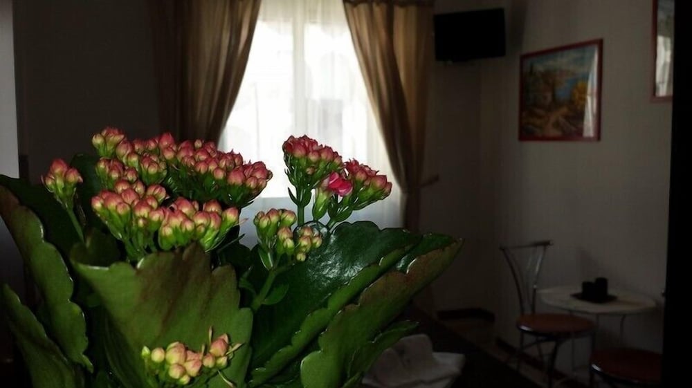 Фото B&b Galleria Frascati