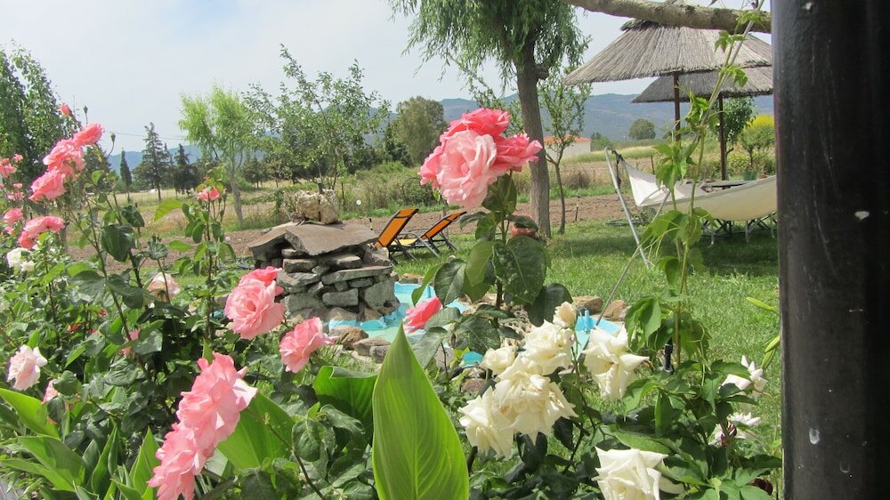 Фото Shine Studios