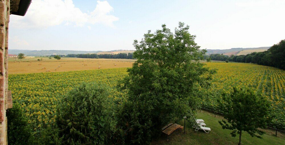 Фото Agriturismo Le Spighe