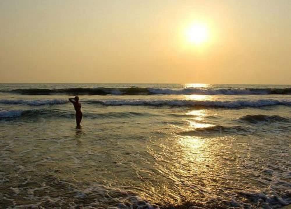 Фото Palm Beach Inn and Sea Shells Cabanas