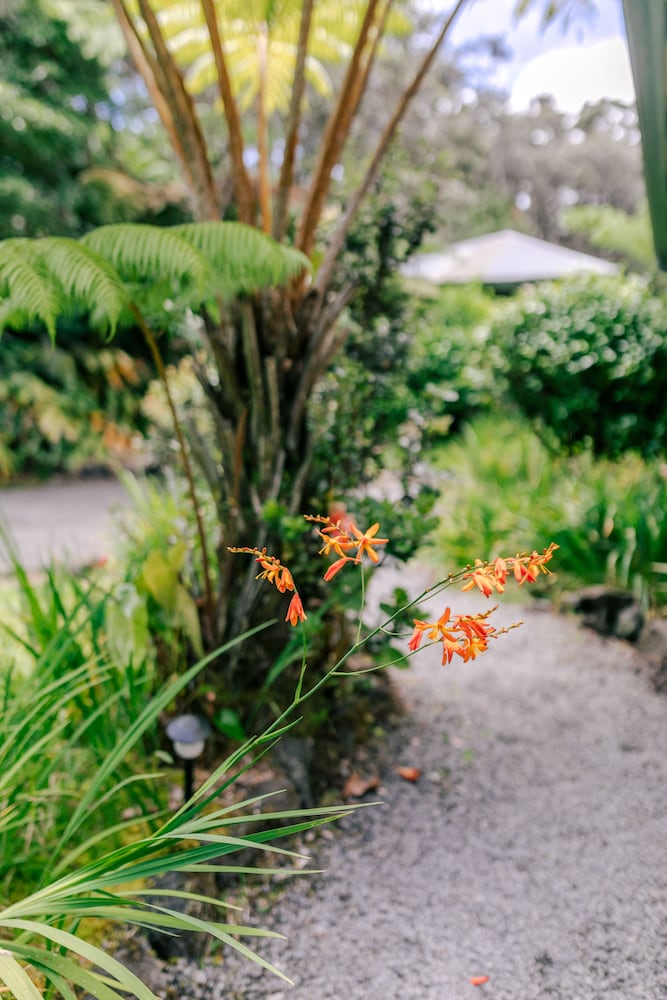 Фото Kilauea Lodge and Restaurant