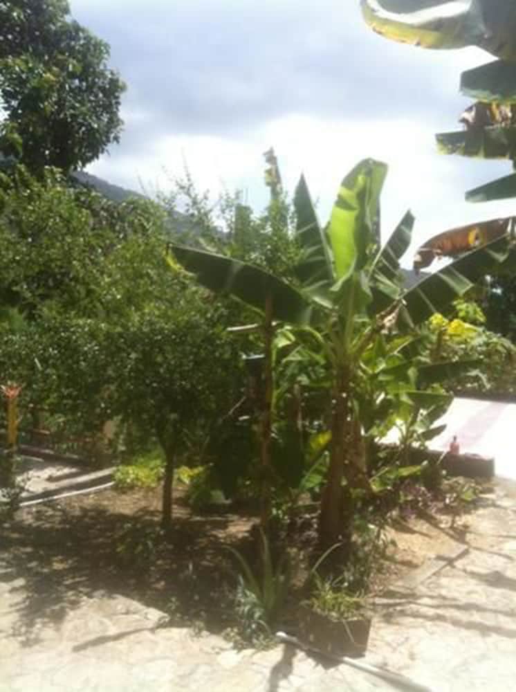 Фото Turin Vue La Montagne Lodge